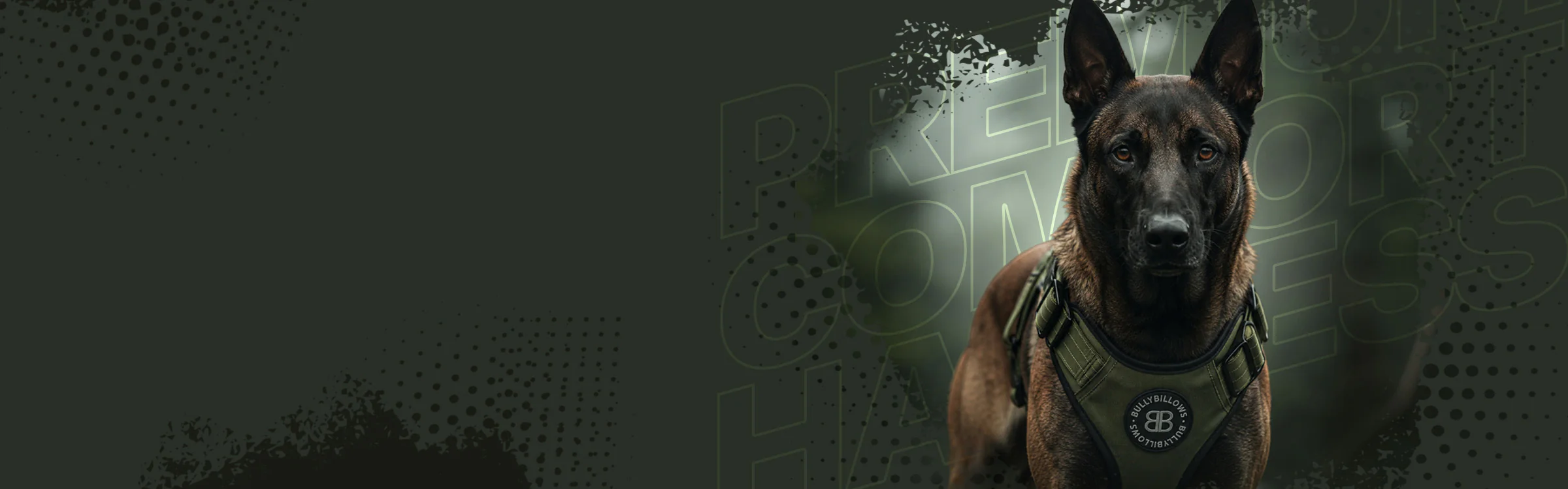 Innovation Unleashed: Join the Pack